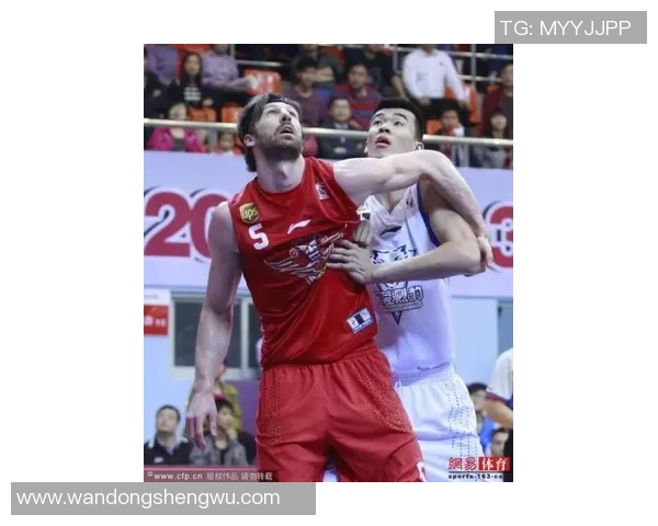 杭州排球队实力对比深度解析各队优势与挑战全面剖析