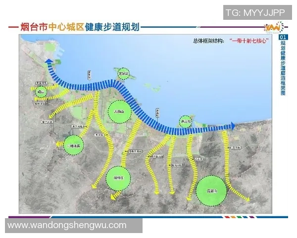 重庆网球队战术解析与对比探讨：优势与不足的全面剖析