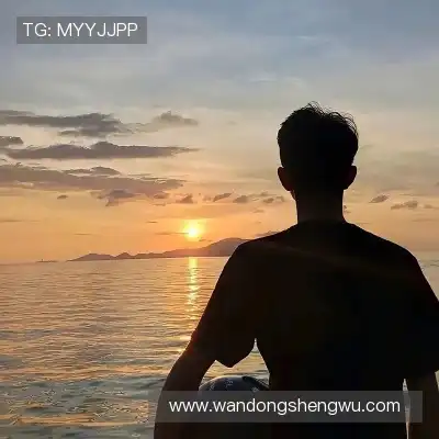 胡壮泉